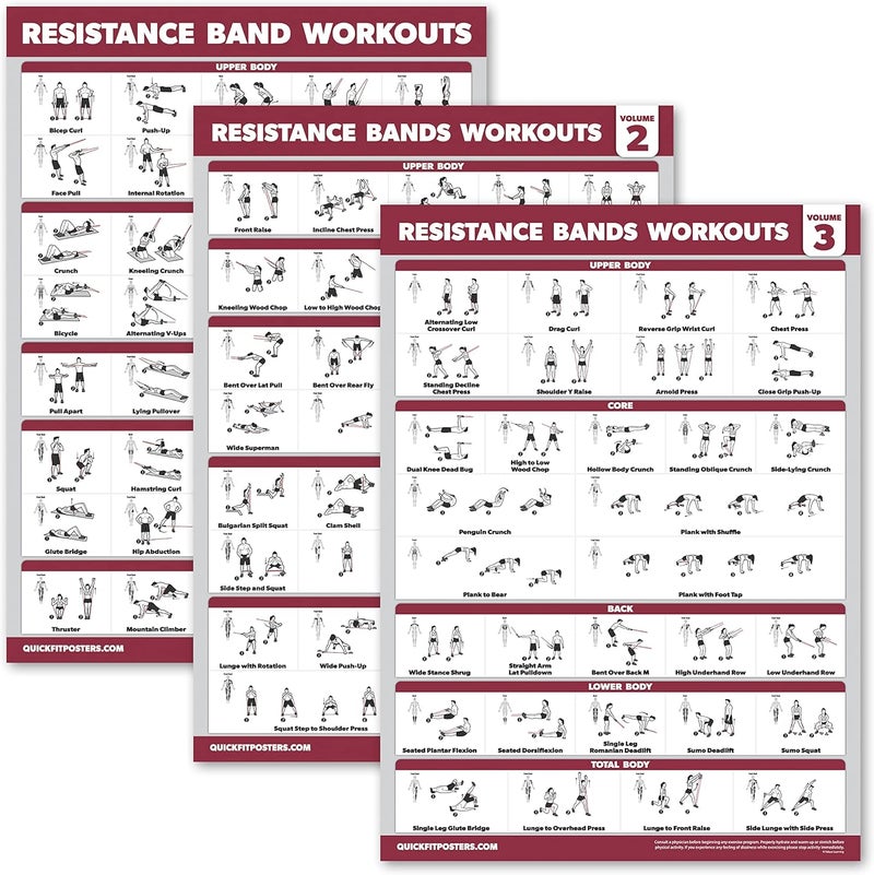 Palace Learning 4 Pack - Resistance Bands Workout Exercise Posters Volume 1, 2 & 3 + Resistance Loops Fitness Chart (LAMINATED, 18" x 24") - Image 5